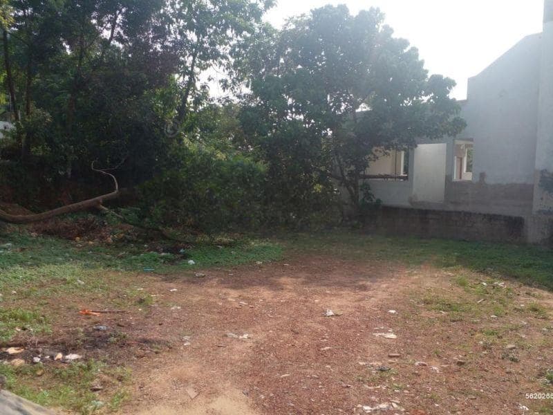 12.8P Bare Land for Sale in Weera Mawatha, Kalalgoda (SL 11743)