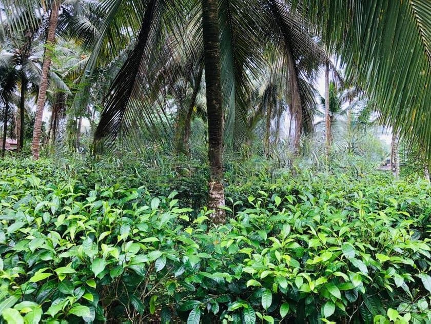 බිම්කොටස් විකිණීමට බන්ඩාරගම