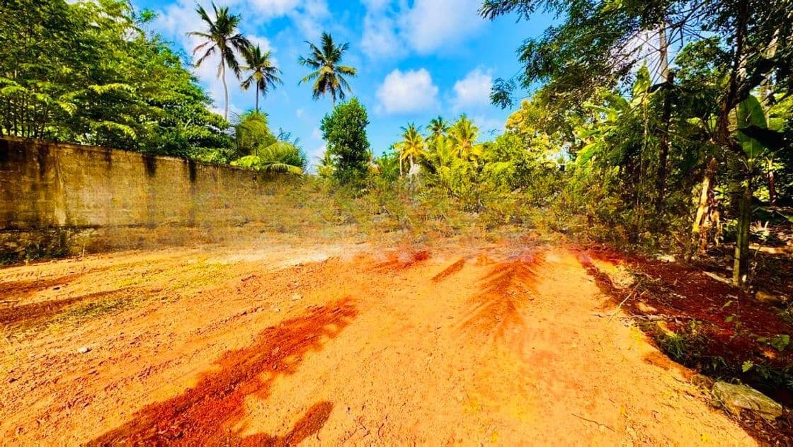 Kadawatha Ganemulla Road Valuable Land for Sale
