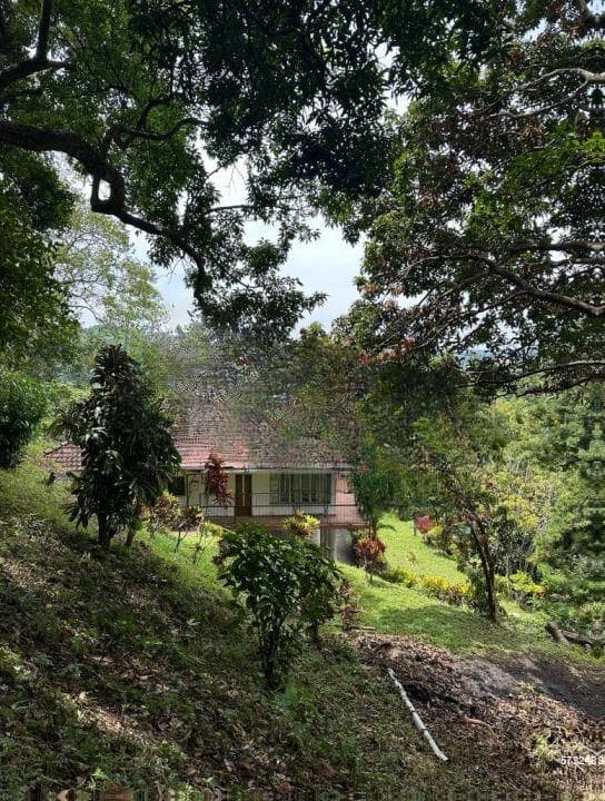 Property for rent primrose hill kandy