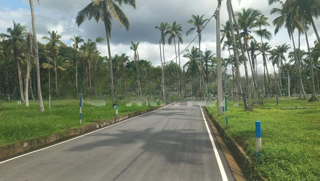 ගමිපහ කිරිදිවැල පාරට මුහුණලා යක්කල බිම්කොටස්