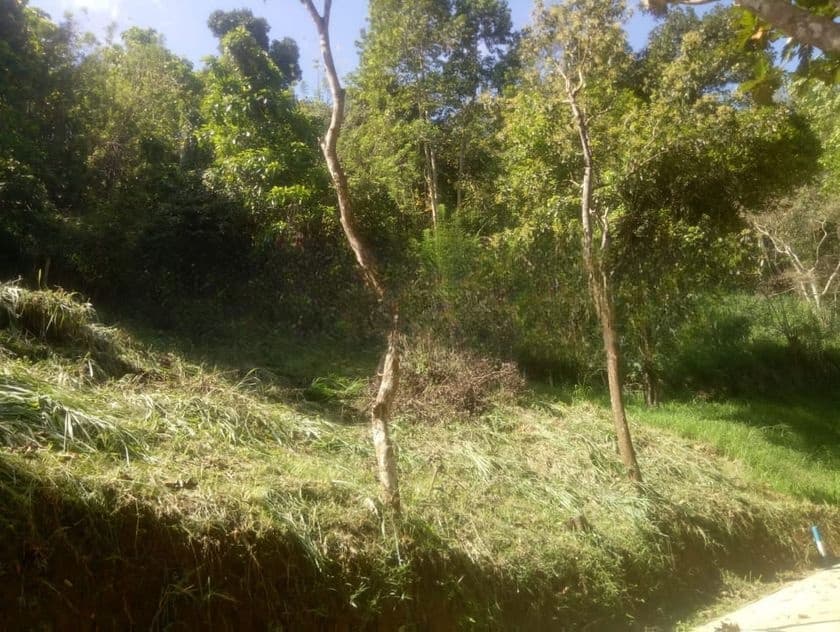 Land for Sale Pujapitiya