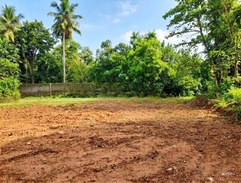 Land for Sale in Thalawathugoda