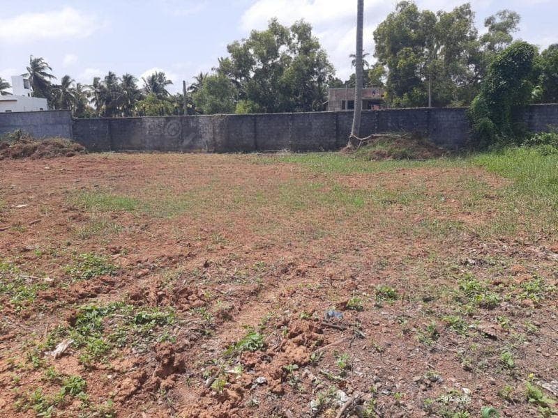 25 Perchers Residential Land For Sale In Negombo/ Thimbirigaskatuwa ( Can Get 12.5 Perchers )