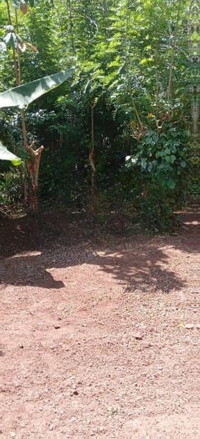හෙයියන්තුඩුව – ගුණසේකර මාවතෙන් වටිනා ඉඩමක්