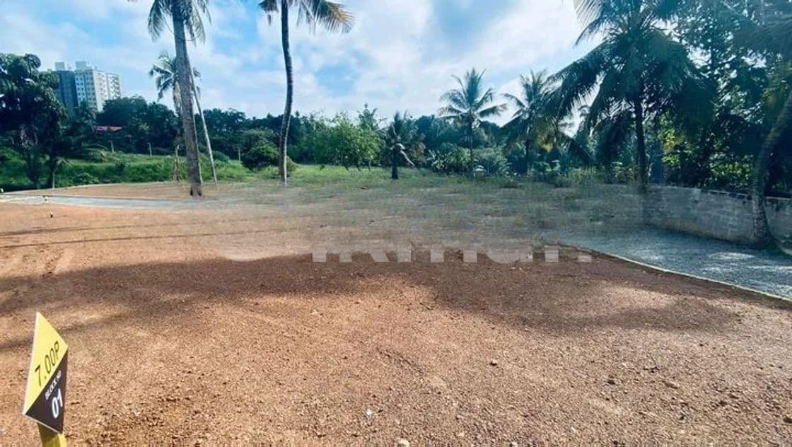 කොට්ටාවෙන් ඉඩමක්
