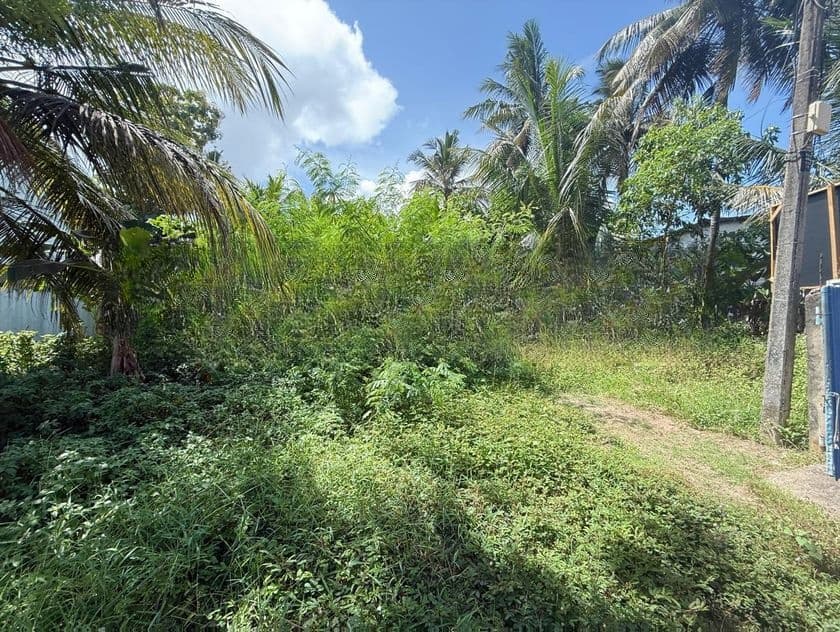 Land for Sale in Kalubowila