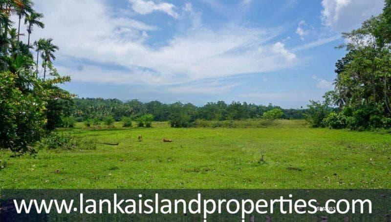 Flat 80P Land with Beautiful Paddy Views-Ahangama - LIP 062