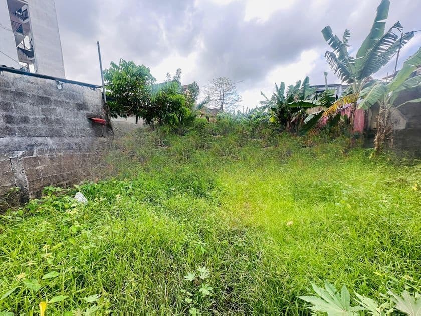 (AFA539) 19 P Land Sale At Pathiragoda Road Maharagama