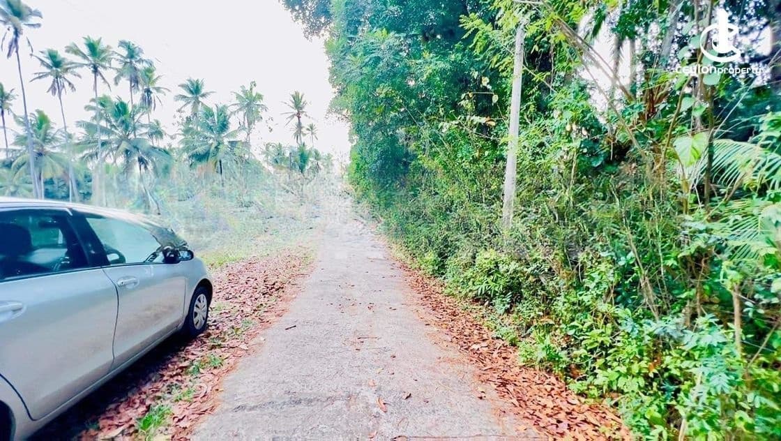 Prime Land for Sale in Pothuhera