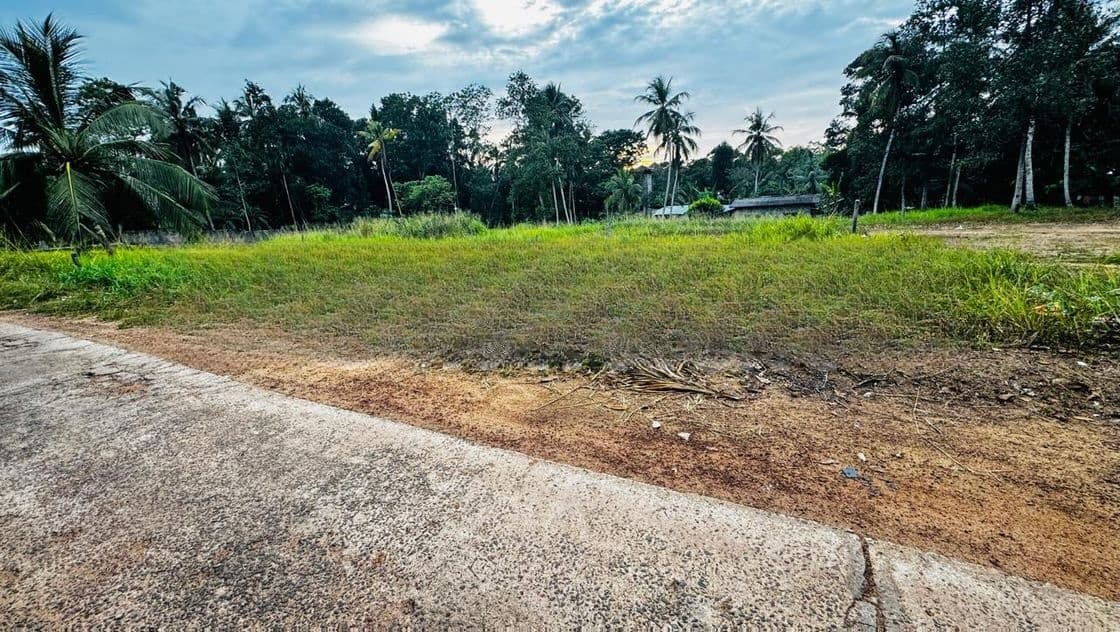Land for Sale Yakkala
