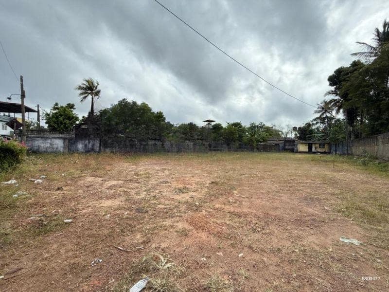 Commercial Land for Sale in Wattala