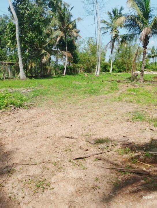 Land For Sale In Kadana -code Add 845