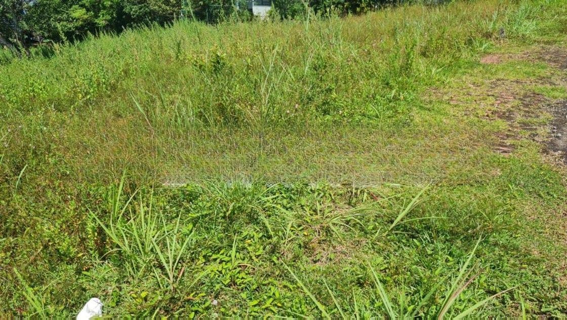 Land for Sale in Nawala