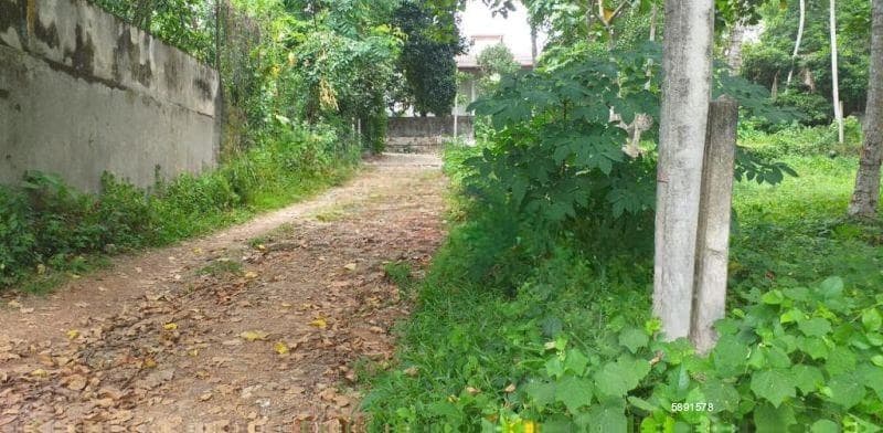 Tranquil Living Awaits! Prime Land on Lake Road – Pelawatta, Battaramulla (LKR 2 Million Per Perch) Lake Road - Akure