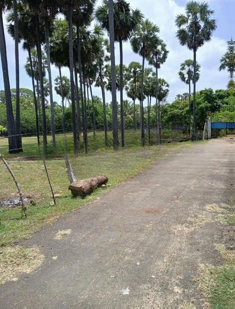 காணி விற்பனை-Jaffna