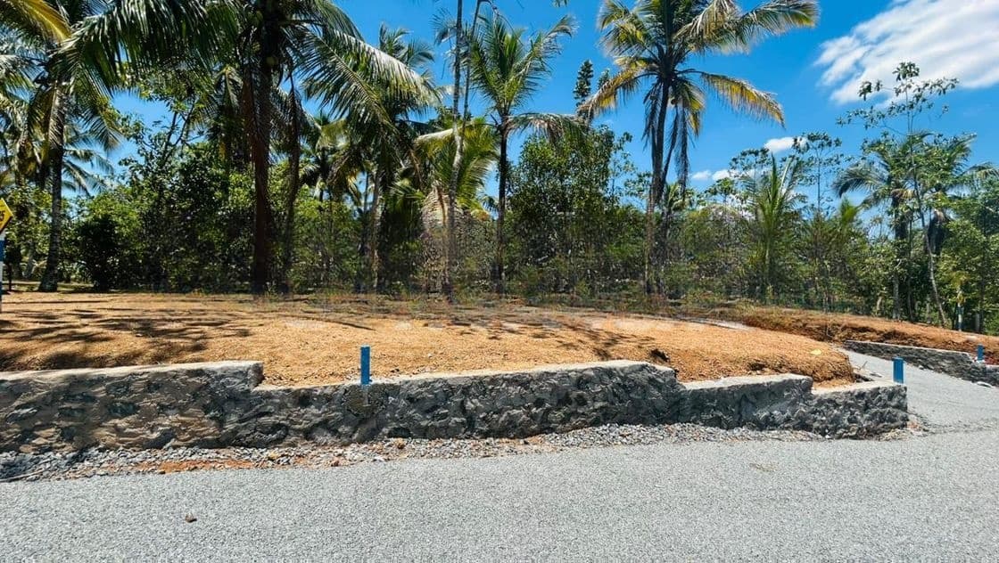 නේවාසික බිම් කොටස් විකිණීම පිලියන්දල