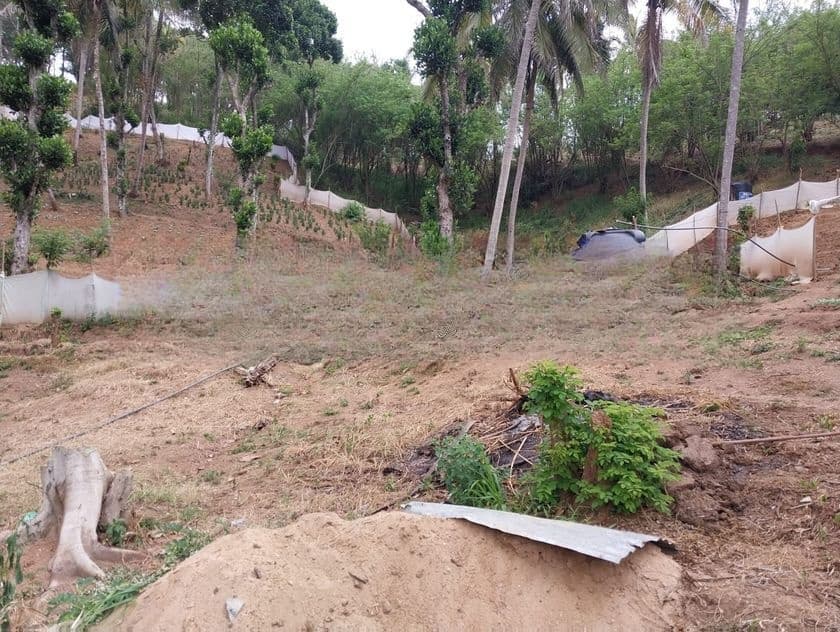 Kandy : 940 perches Land for Sale at Thalatuoya