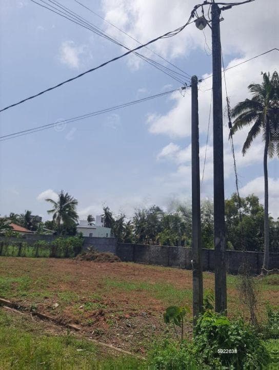 12.5 Perchers Residential Land For Sale In Negombo/ Thimbirigaskatuwa ( Walking Distance To St, Nicola's International