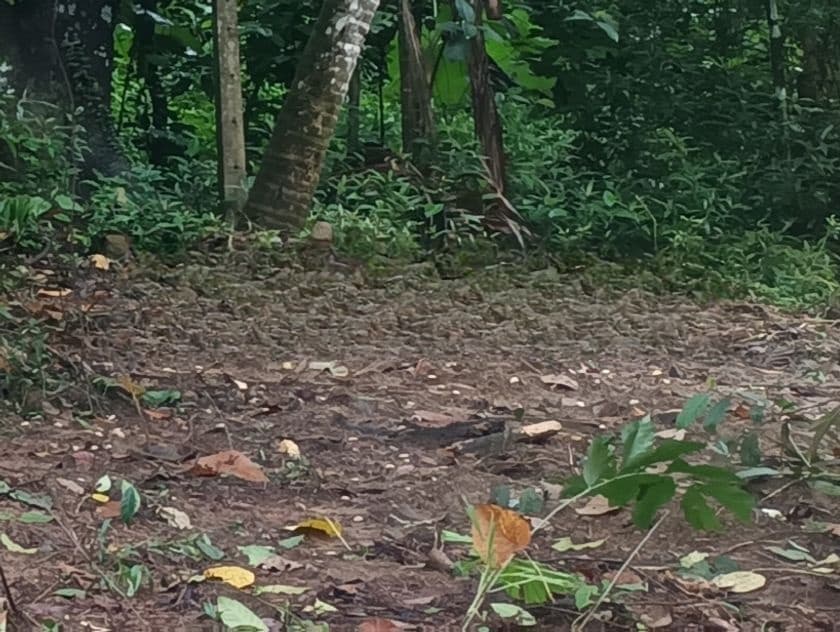12 Perches Land For Sale - Kadawatha Kirillawala