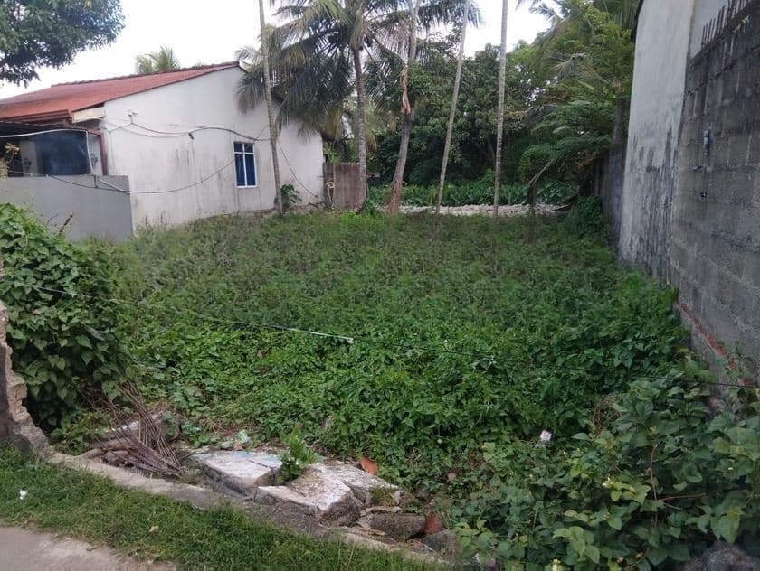 Land for Sale in Kandana