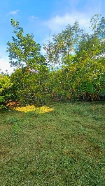 Kottawa : 11 perches Bare Land for Sale