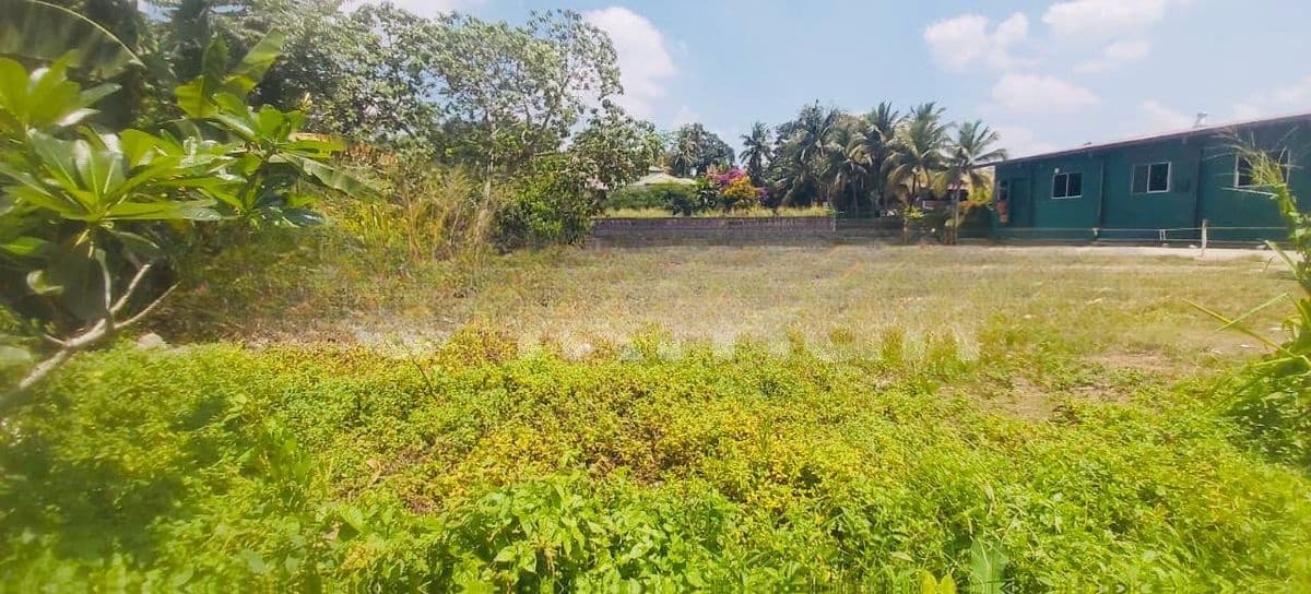 (AFA47) 41 P Bare Land Sale At Thalawathugoda