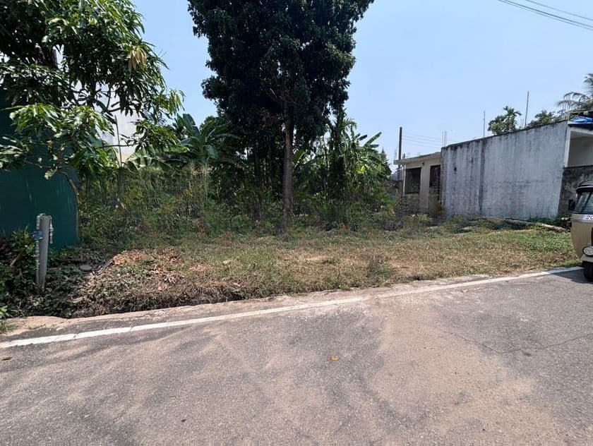 Land for sale in thalapathpitiya. Ls635