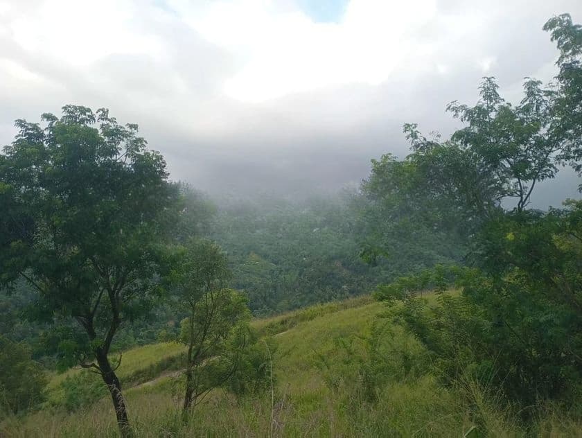 Land for Sale Nillamba