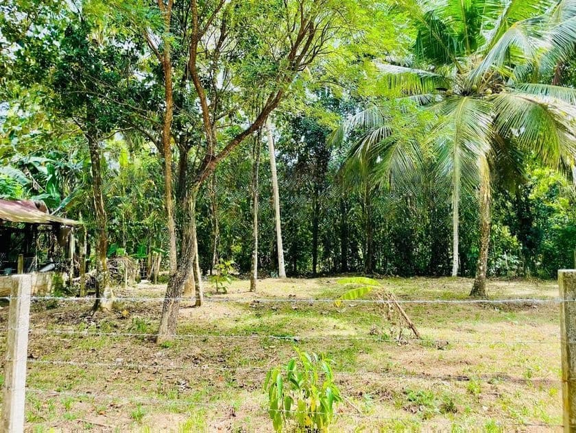 මිනුවන්ගොඩ නගරයෙන් වටිනා නේවාසික ඉඩමක් විකිණීමට! / KK 10495