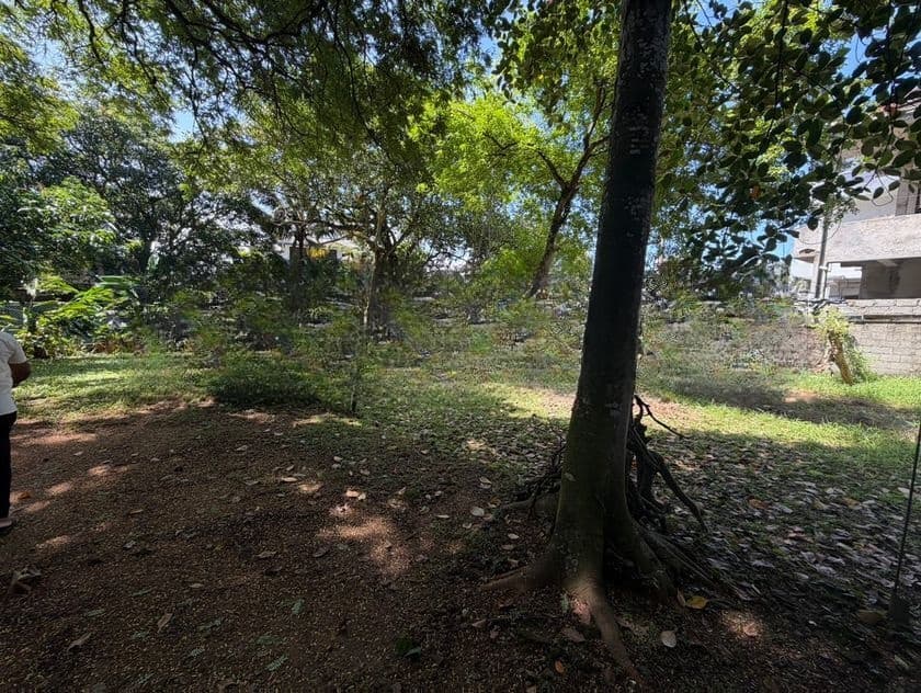 11.25 Perch Prime Residential Land for Sale – Off Hill Street