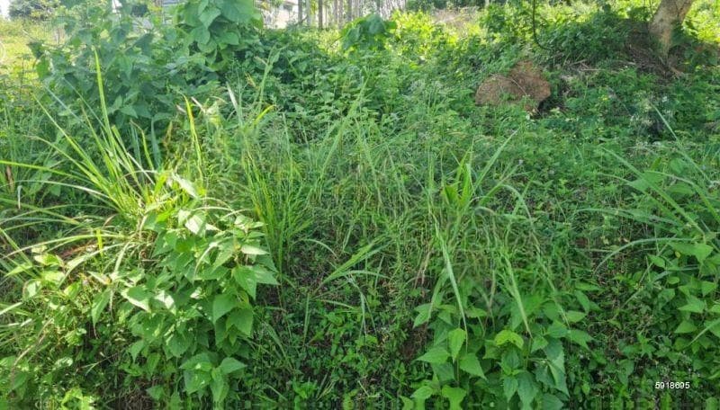 Land for Sale Dehiwela Kalubowila