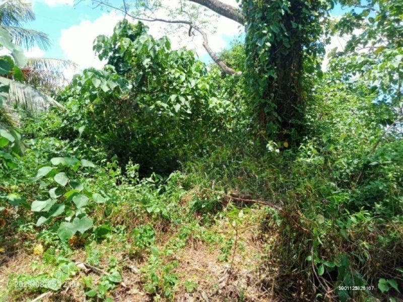 10 Perches Land for Sale in Welivita - Malabe | LKR 1.5 Million Per Perch | KO-508