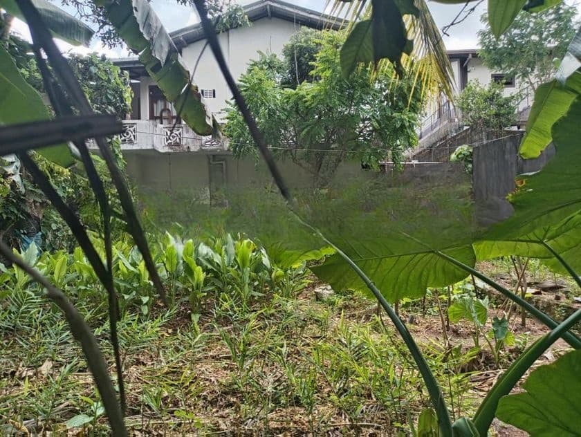 Ideal Land for Sale Talawathugoda