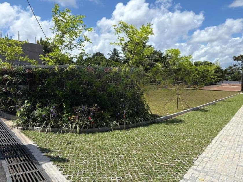 බොරලැස්ගමුව නේවාසික බිම් කොටස් විකිණීම