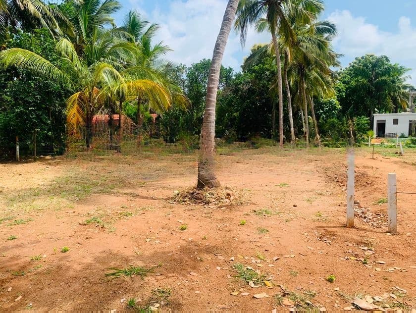 අනුරාධපුරයෙන් සින්නක්කර බිම් කොටස්