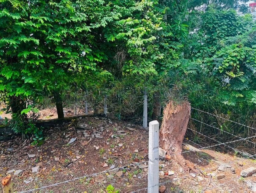 Valuable Land for Sale Piliyandala, Madapatha. (ID : PLN001)