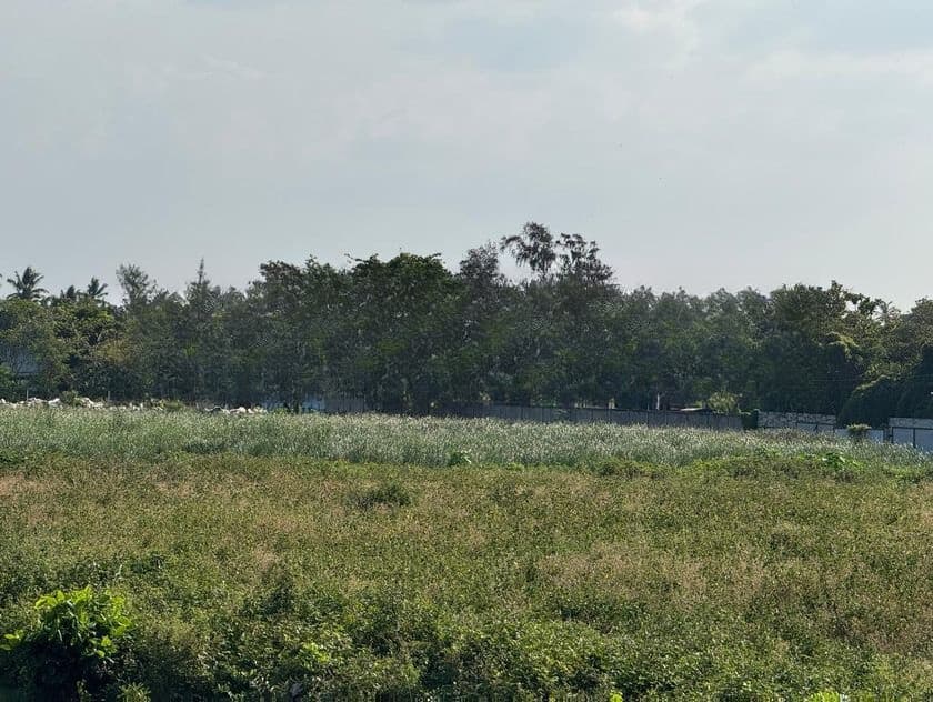Commercial Land for Sale in Wattala
