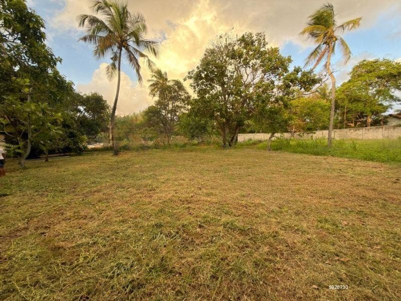 Residential Land for Sale in Eththukala, Negombo | LKR 44 Mn(LA4783)