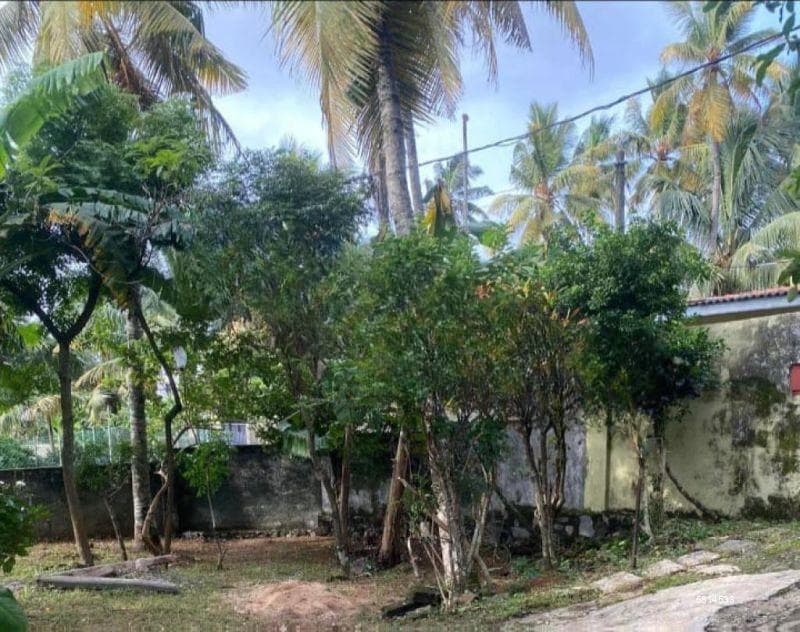 Bare land for sale in Maharagama