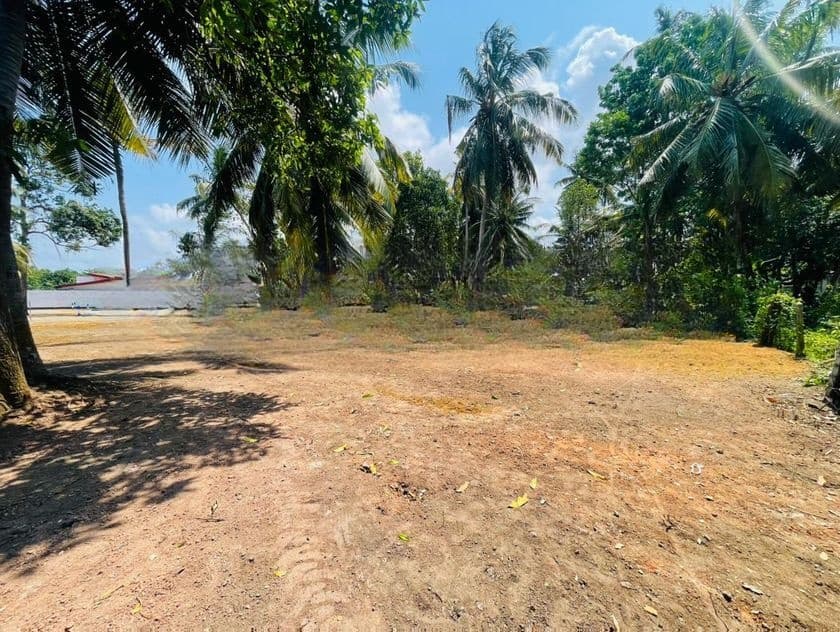 Precious Land Plot for Sale Welisara Mahabage