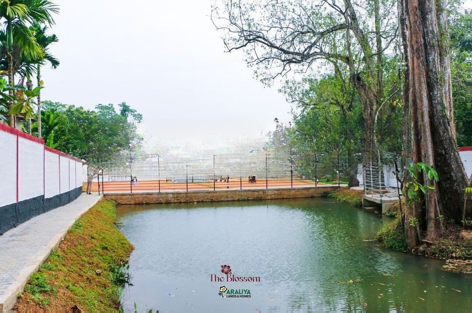 High Valuable Land for Sale in Gampaha