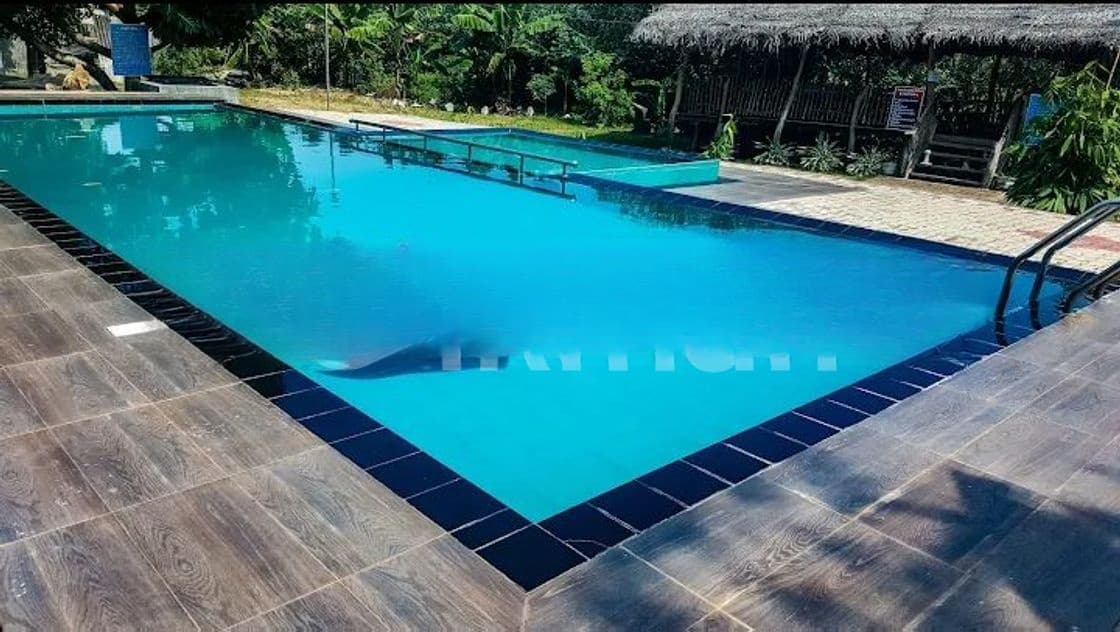 COMMERCIAL PROPERTY FOR SALE IN WATTALA WITH FURNITURE (SP1071)