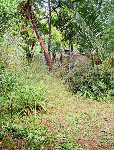 60 P Land for Sale – Bemmulla, Gampaha