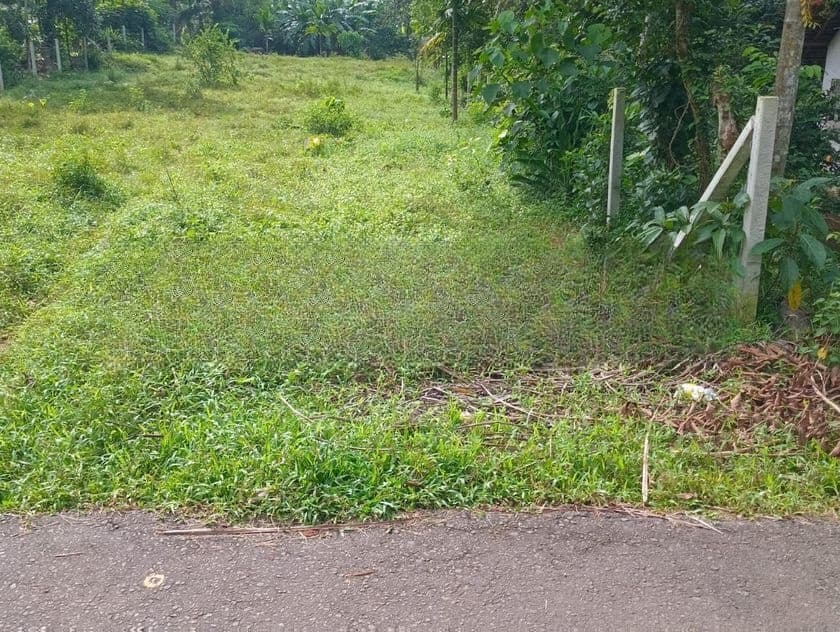 Land for Sale Homagama