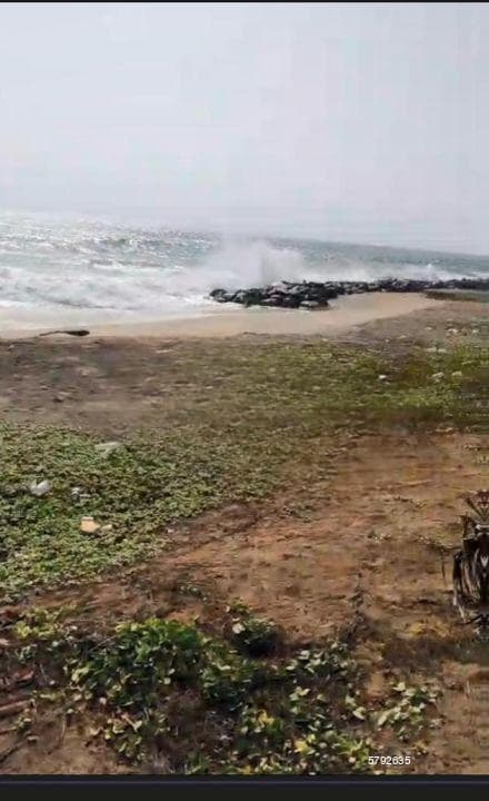On The Beach Land For Sale In Negambo Suburbs (dungalpitiya) Code Add 749