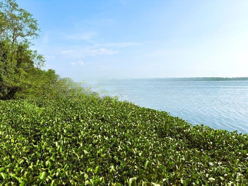 Water Front Land for Sale in Piliyandala