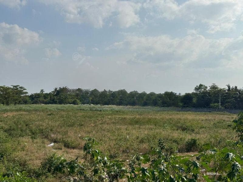 Commercial Land for Sale in Wattala
