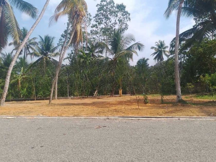 අලුත්වලින් බිම් කොටස්