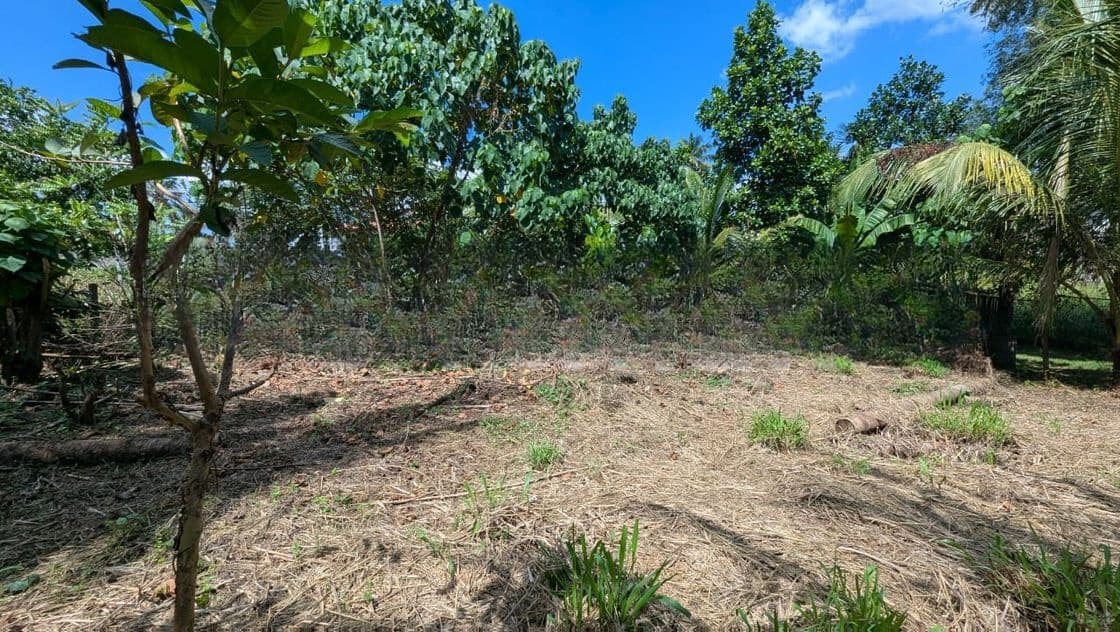 Land for Sale in Kadawatha